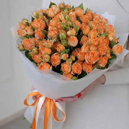 Кустовые розы Корал Баблз в пленке (25шт)