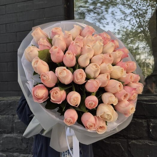 Mono Rose Catherine 51