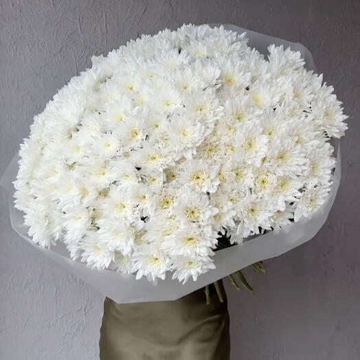 Пышный большой букет из кустовой белой хризантемы (51 ветка) от XOFLOWERS