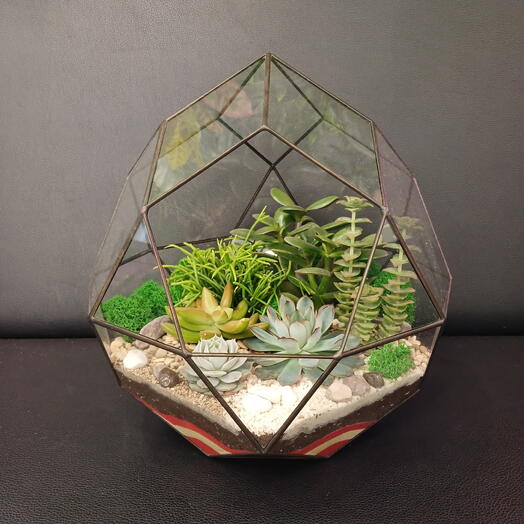 Florarium "Comet"