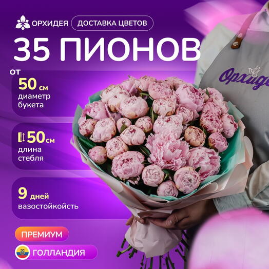35 пионов "Сара Бернард"