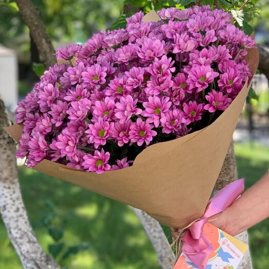 Букет из кустовых хризантем 15 шт