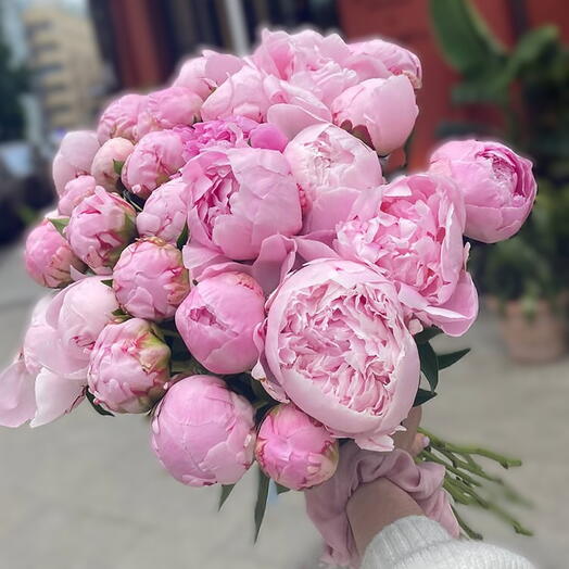 19 нежно-розовых пионов в букете