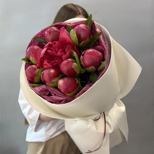Бордовые Пионы 🌺 9 штук