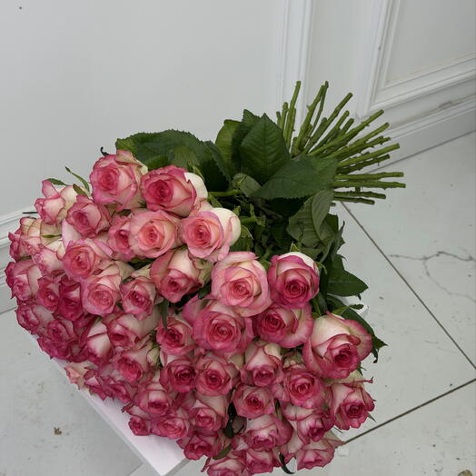 51 роза