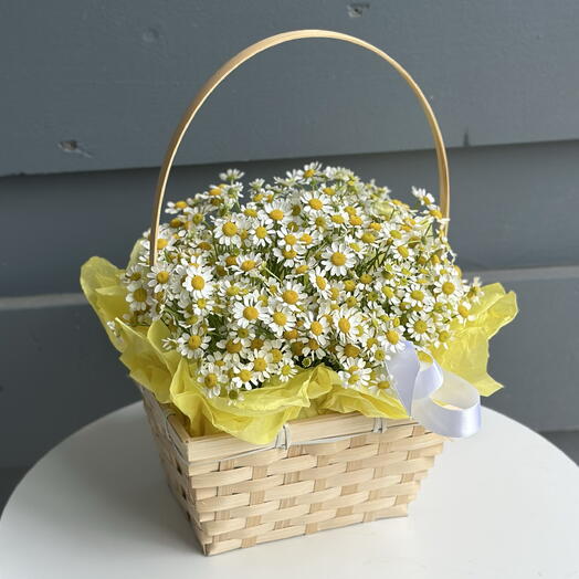 Корзинка с ромашками 🌼