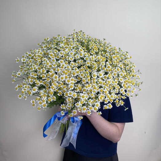 Ромашки