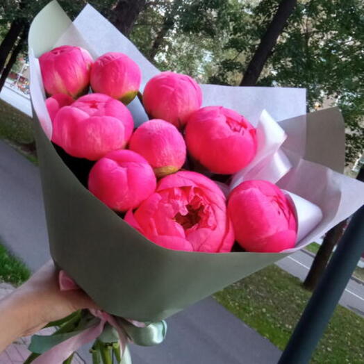 Пионы 9шт