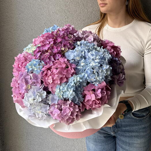 Сад Персифоны (гортензия в коробке)