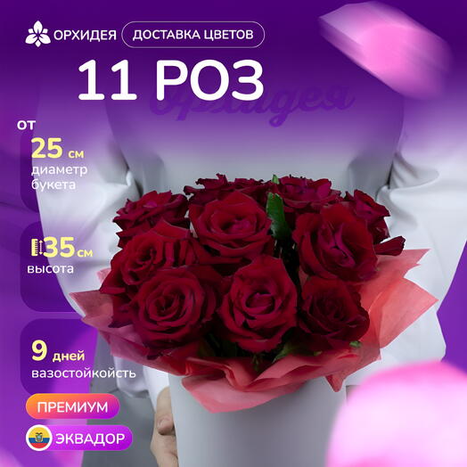 11 Роз красных 60 см в коробке