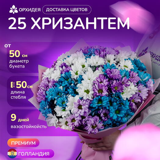 25 хризантем микс краш