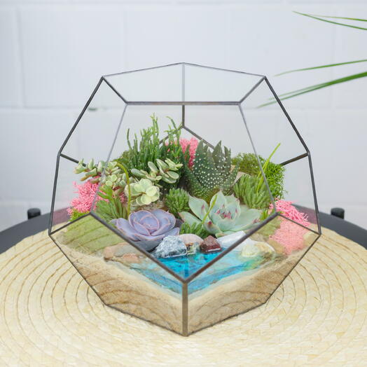 Флорариум с суккулентами Сфера с озером