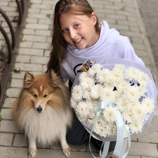 Букет белых стойких кустовых хризантем на 1 сентября 🌼