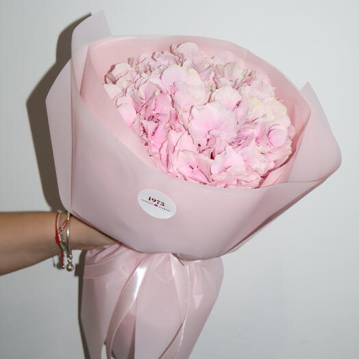 Pink hydrangea