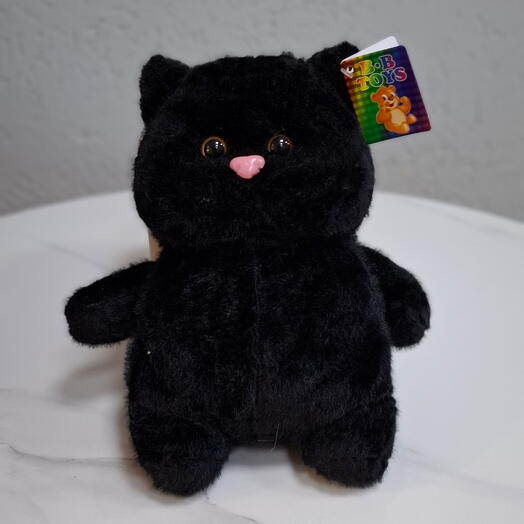 Чёрный кот