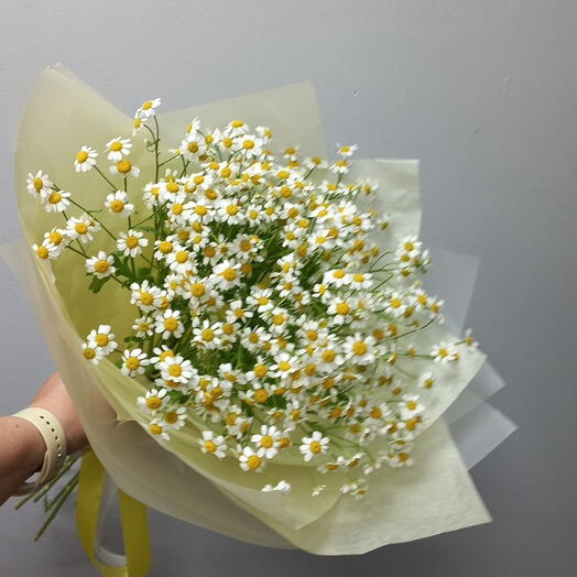 Букет ромашек