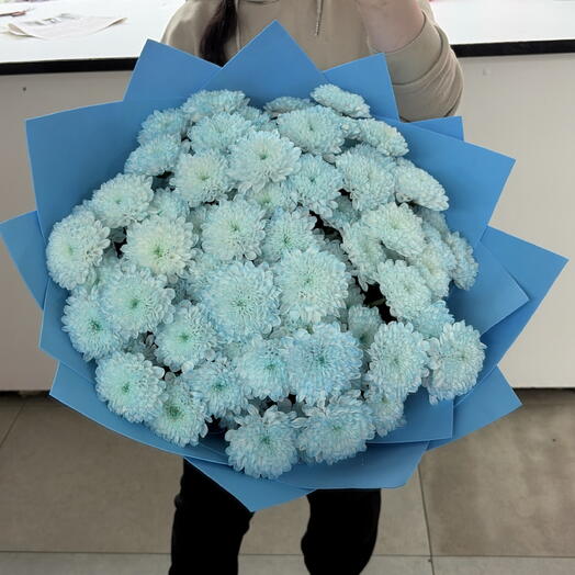 Большой букет голубой хризантемы
