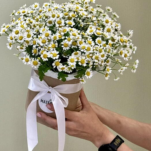 Композиция из  11 шт полевых ромашек ( камилла, танацетум, матрикария)