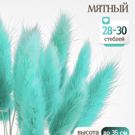 Лагурус мятный 30 шт. Высший сорт. Высота 25-35 см М701
