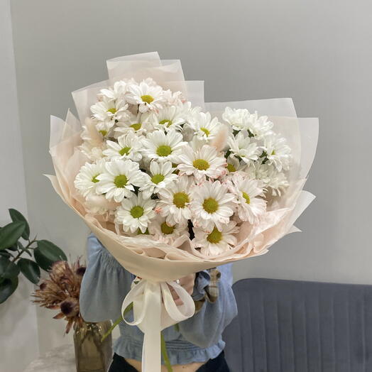 Моно хризантем 🌸