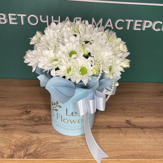 Хризантема ромашка в коробочке