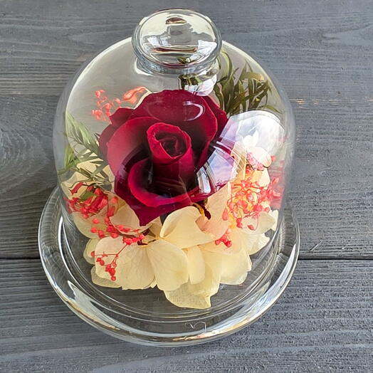 Мини-клош с красной розой🌹