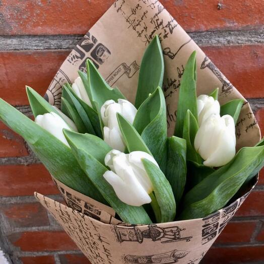 7 тюльпанов " Арктика "