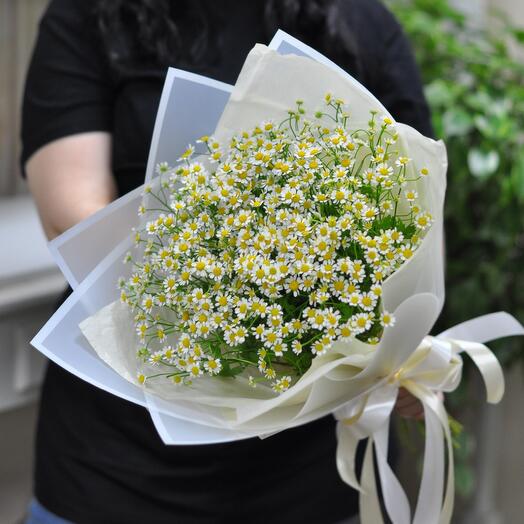 Bouquet of daisies tanacetum