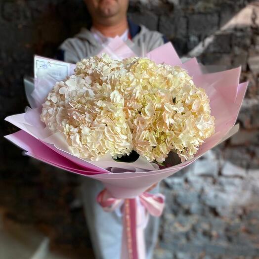 Beautiful bouquet of 7 white hydrangeas "Anesi-le-Vieux"