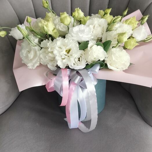 Eustoma en Caja