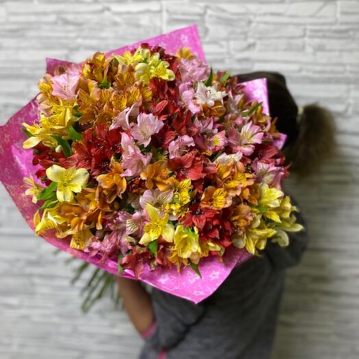 Alstroemeria