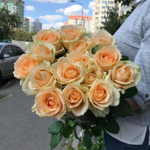 Роза 15 шт Avalanche Peach