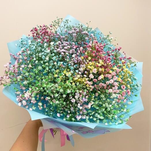 Rainbow gypsophila