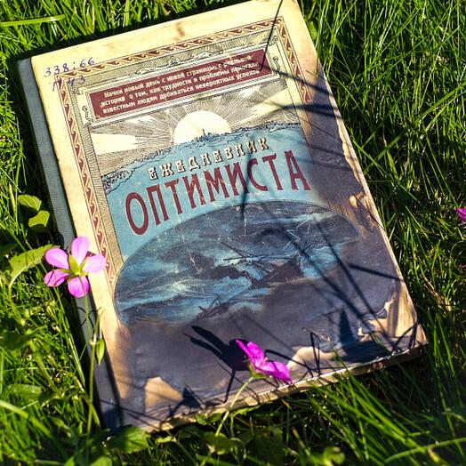 Ежедневник "Оптимиста"