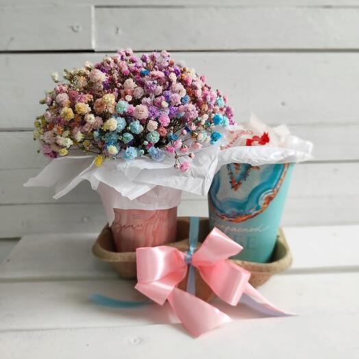 Gypsophila + Raffaello