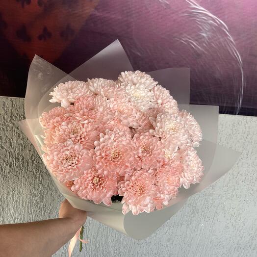 5 powdered chrysanthemums