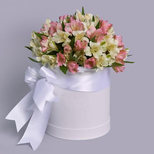 Alstroemeria in a box