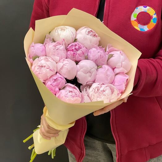 15 розовых пионов Сара Бернар 🌸