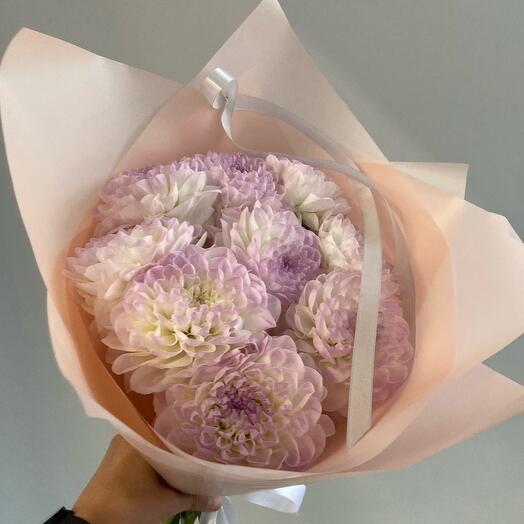 Сезонные георгины