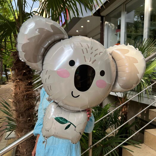 Шарик Коала