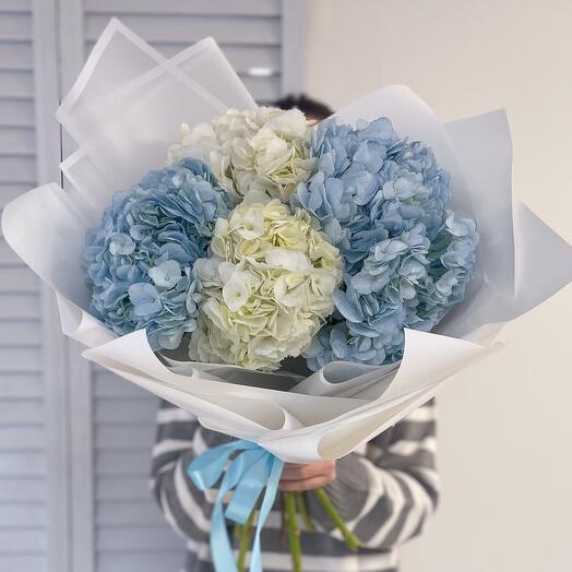 Bouquet of 5 hydrangeas in a delicate blue shade