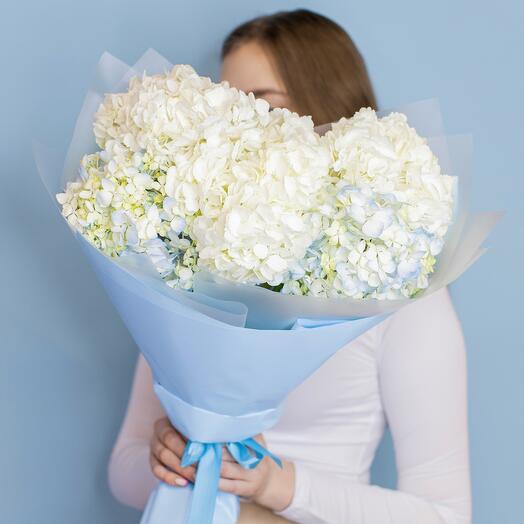 Bouquet of 5 white and blue Hydrangeas