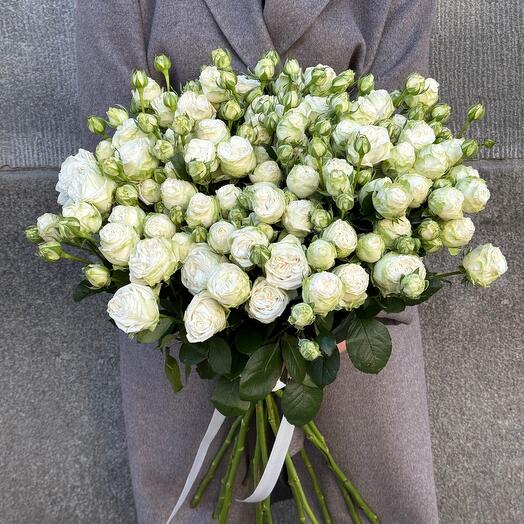 Bush roses peony-shaped Miss Bombastic