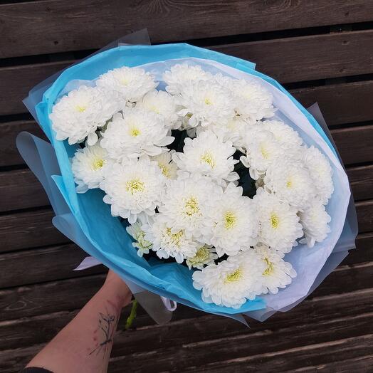 5 bush chrysanthemums