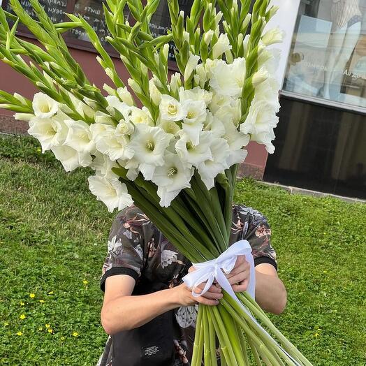 Гладиолусы белые