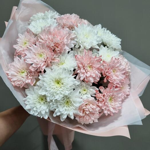 Crisantemos tiernos con Dianthus
