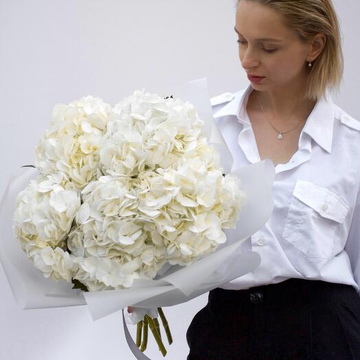 Белая гортензия в упаковке, 5 шт
