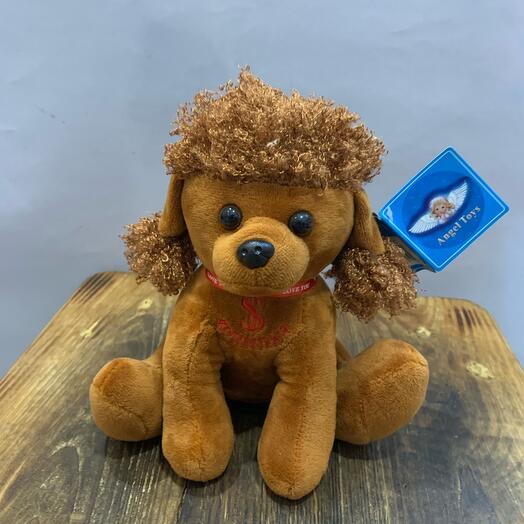 Пудель