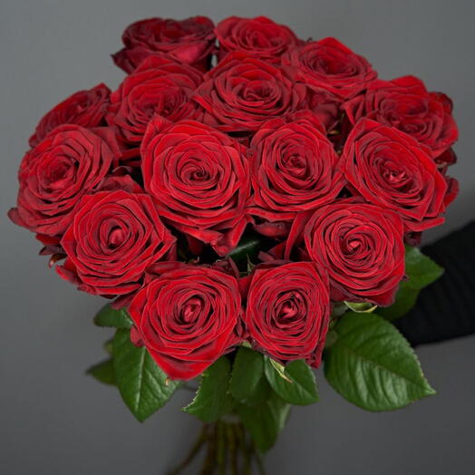 15 Red Roses