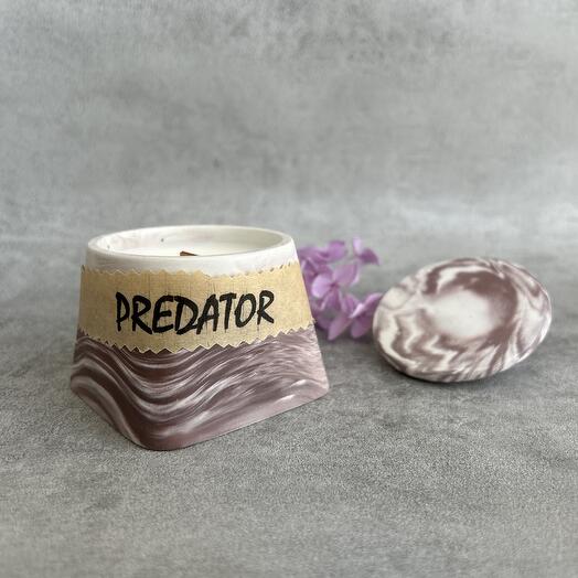 Ароматическая свеча «Predator»